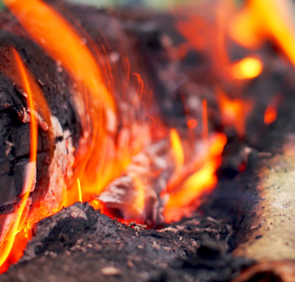 Processed with VSCOcam with lv03 preset